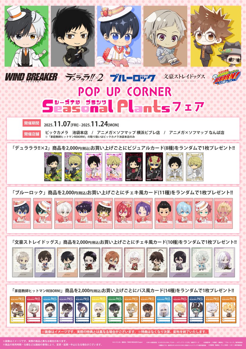 📢明日から開催📢 POP UP CORNER Seasonal Plants フェア #ブルー