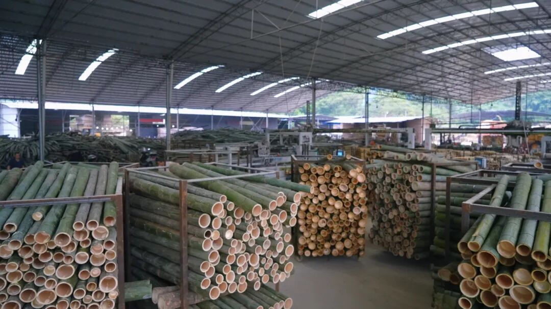 InZunyi's tweet image. A company in #Zunyi is producing bamboo pulp with 88 percent whiteness, rivaling international standards.

Now, its products are being exported to Vietnam, Myanmar and Thailand. #ZunyiBiz