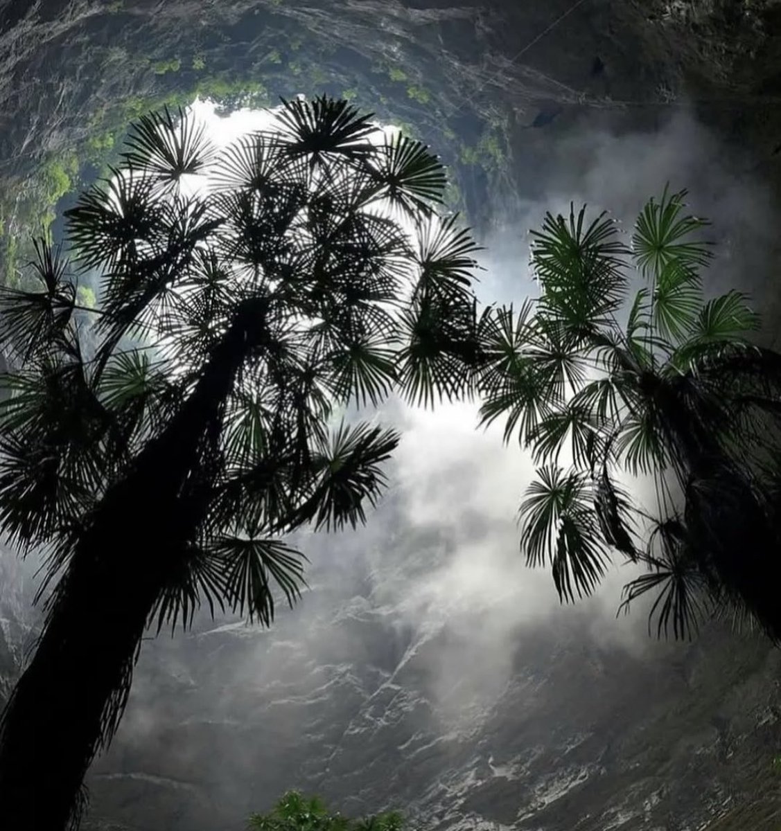 중국 광시성 러예현.2022년에 발견된 거대한 싱크홀인데,깊이가 무려 192m.안쪽에는 40m넘는 나무들이 숲을 이루고 있어서 마치 지하에 또 하나의 세상이 있는 것처럼 보여.빛이 거의 닿지 않는데도 푸르름이 가득해서,보고 있으면 그 속을 직접 걸어보고 싶어져.지구에 지구 아닌 그런곳 가고 싶네.