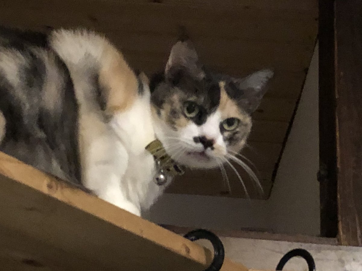 久しぶりに帰ったら激オコぷんぷん丸だよ…