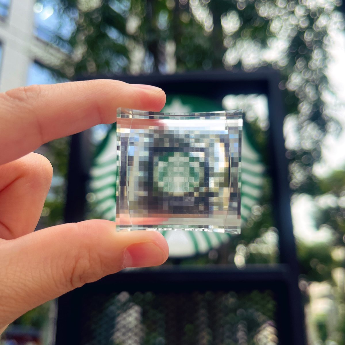 Monoli (@Hakusi_Katei) / Posts / X