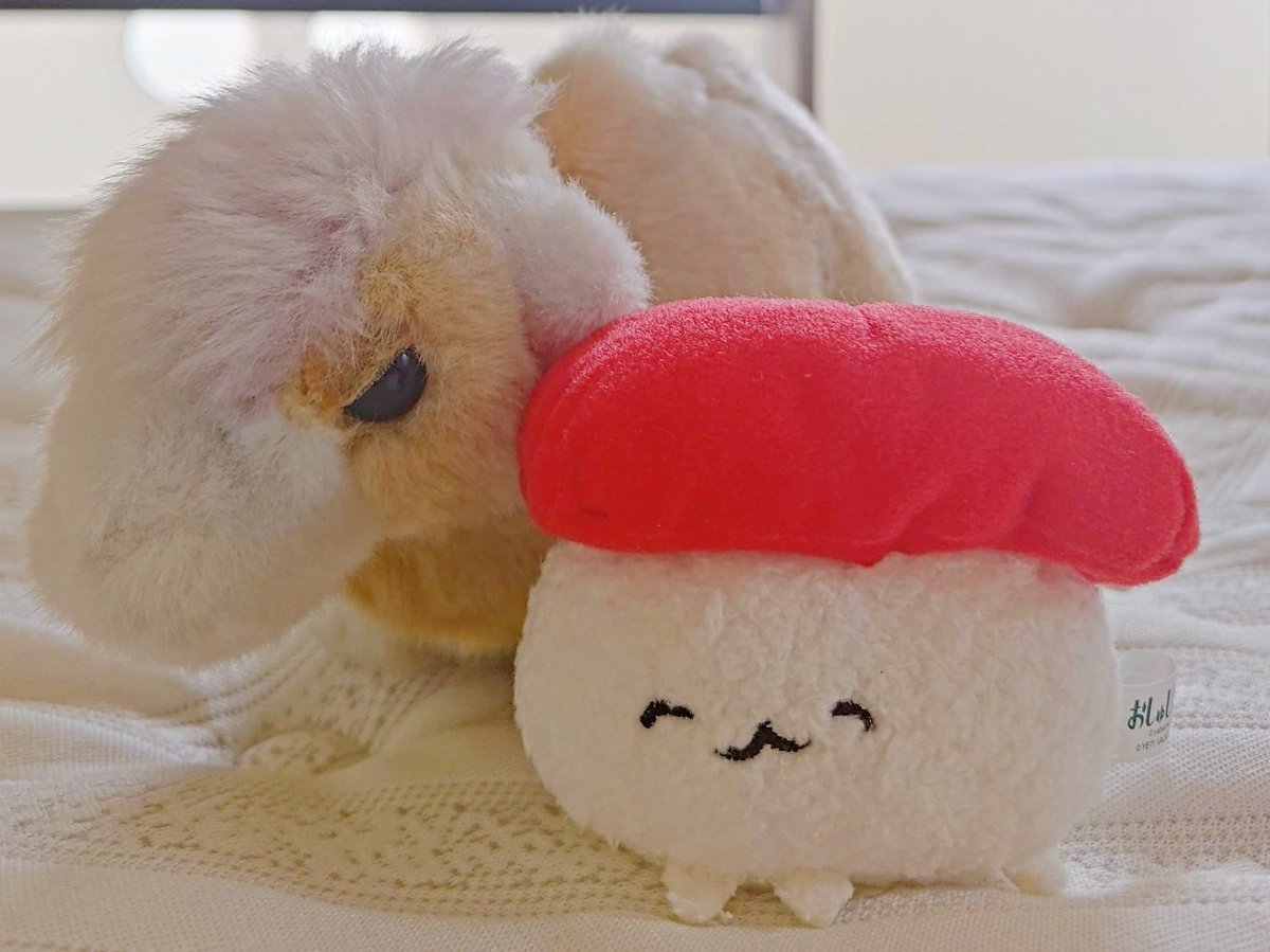 sourumeitdovua's tweet image. 11月から同棲初めました