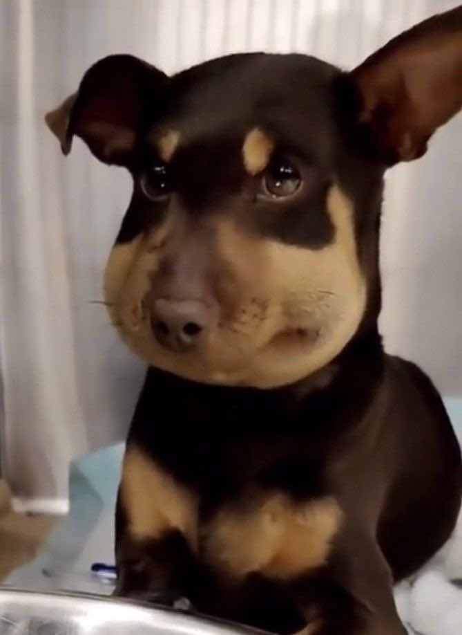 d_ddableu's tweet image. writer's block typa shi