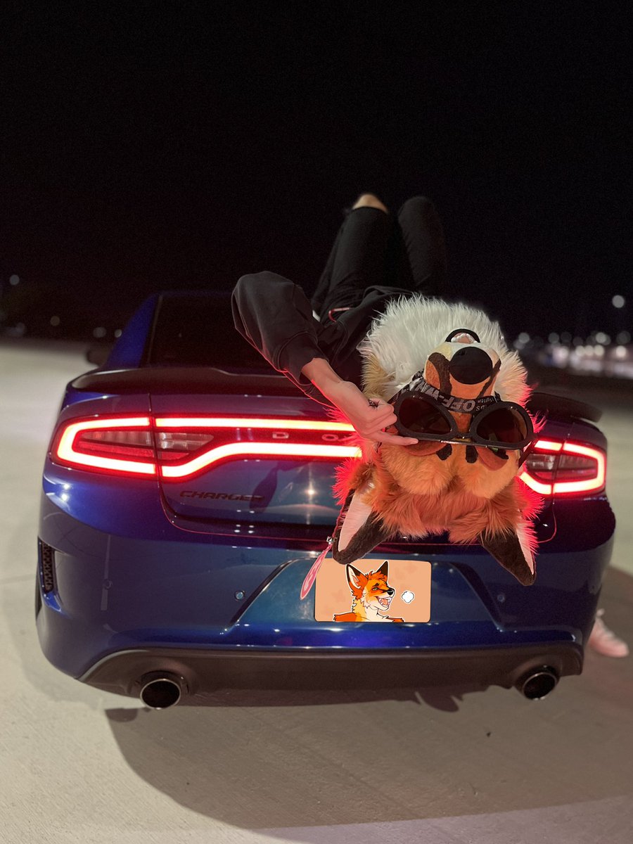 miatassme ‼️ tweet media