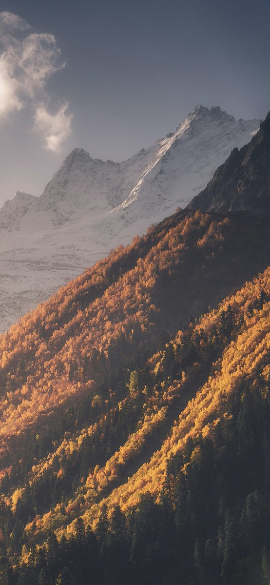 Setup today ✨

Widgy widget you can get here

Bundle (146 Widget):
ko-fi.com/s/c79aa01111
blvcksun.gumroad.com/l/fvlmi

Package (82 Widget):
ko-fi.com/s/9ae81d6333

Donate me on Paypal PayPal.Me/blvcksun666

#wallpaper