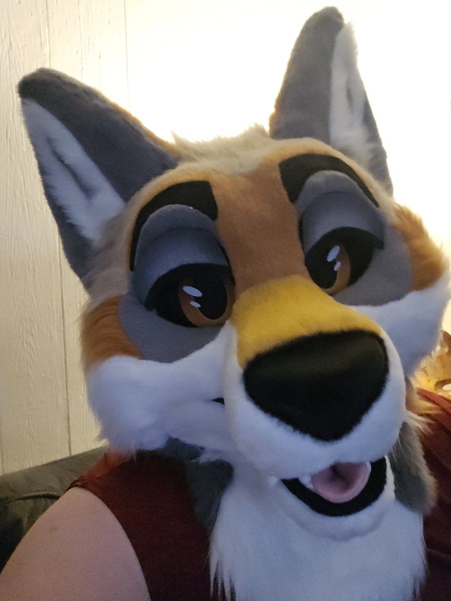 Yotie McFoldypaws tweet media