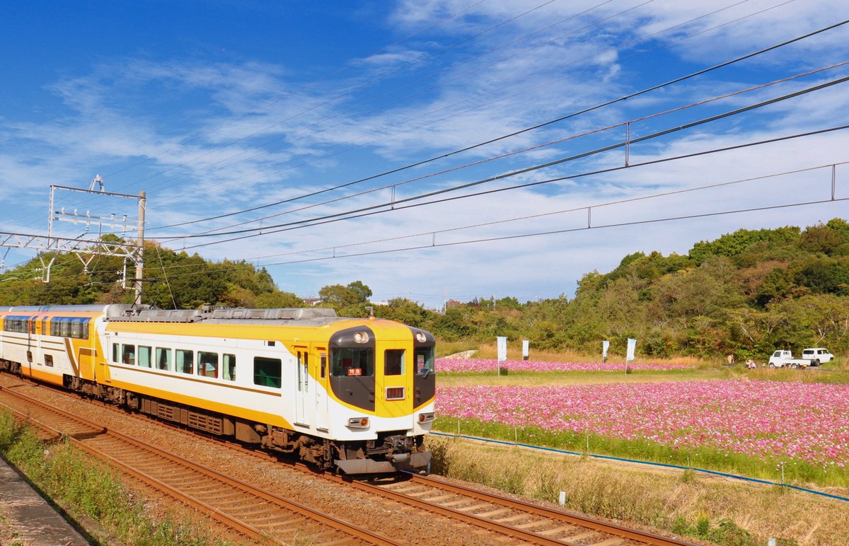 ストロベリー(いちごっち)🍓 (@M6hdlMEoPZeoGmk) / Posts / X