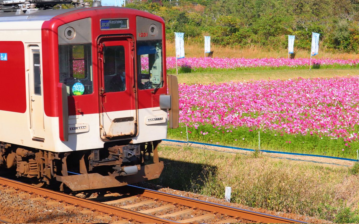 ストロベリー(いちごっち)🍓 (@M6hdlMEoPZeoGmk) / Posts / X