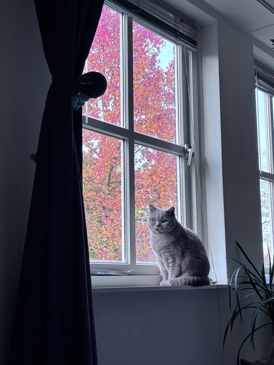 Wat is de lente toch een mooi seizoen met al die kleuren 😻🧡💛🤎❤️💚🍁🍂🍄🍄‍🟫🪾