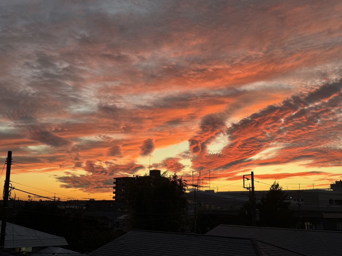 馬と古城夕陽が沈む雰囲気が出た作品です。 JUN FUKAMACHI