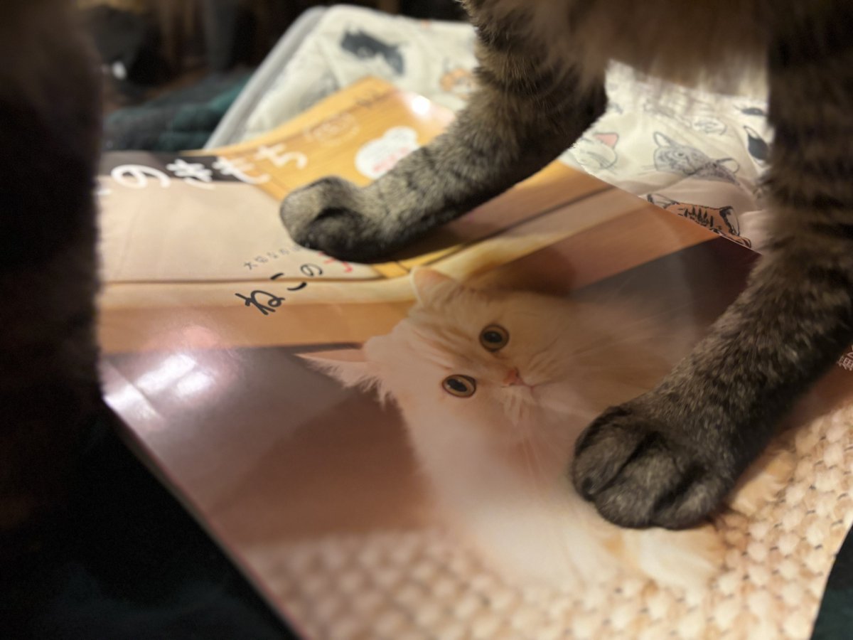 Ramoffle100's tweet image. 本を読もうと置いて離席するとシマシマガードが発動する