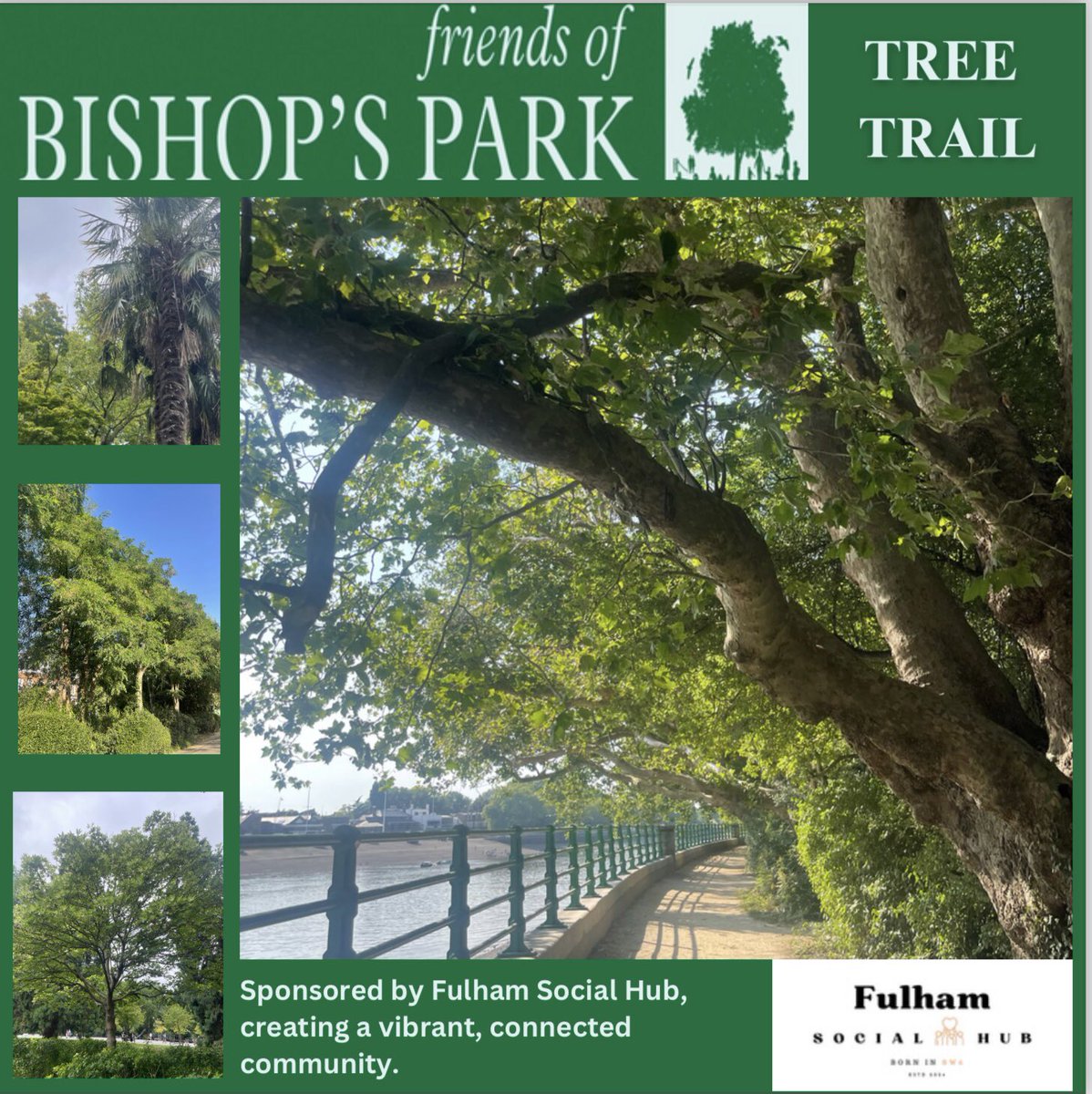 TiCLme's tweet image. A #treetrail is a sign of #treequality in a park

ticl.me/friends-of-bis…