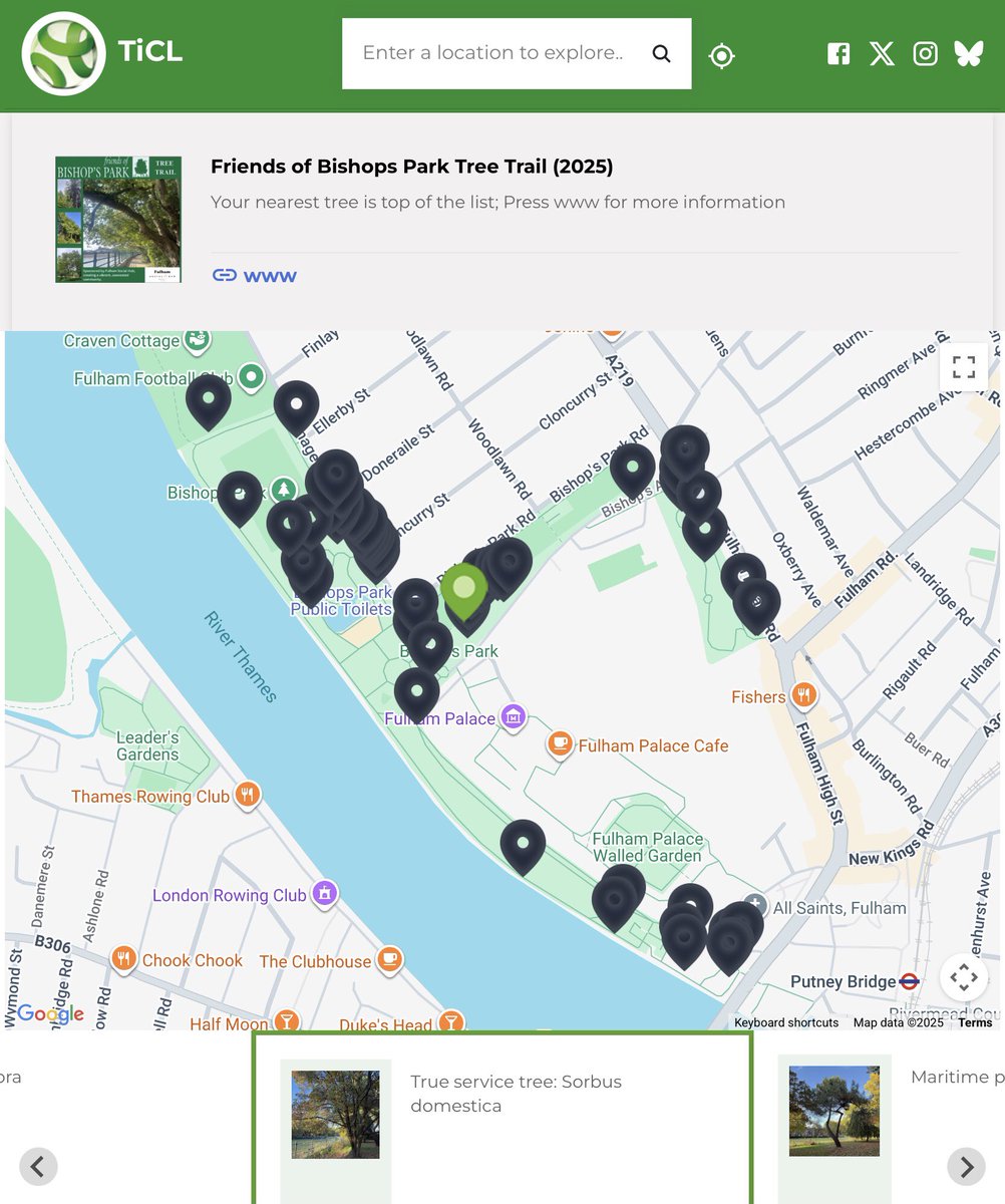 TiCLme's tweet image. A #treetrail is a sign of #treequality in a park

ticl.me/friends-of-bis…