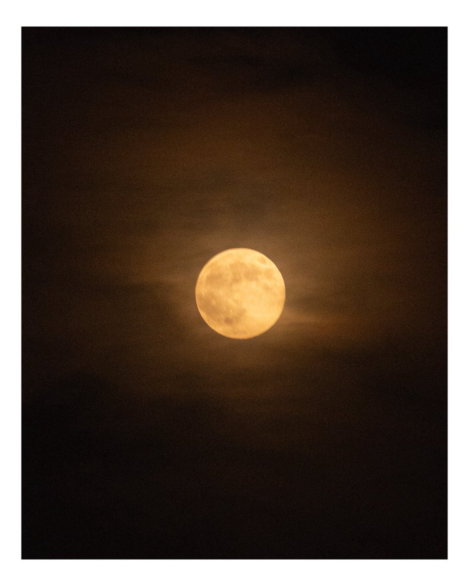 Enes Karabacak tweet media