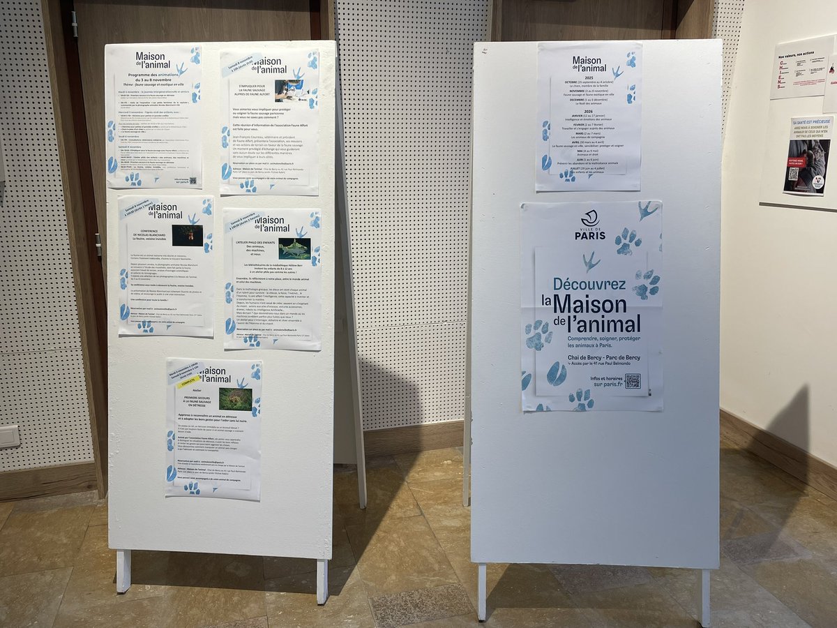 BLA BLA CAT
Nous remercions chaleureusement la Maison de l’Animal en Ville à Bercy pour ces petites maisons qui vont permettre aux chats du bois de passer un hiver au chaud. La 1ere a été posée dans un endroit sécurisé. <a href="/onevoiceanimal/">One Voice</a> <a href="/SavoirAnimal07/">Savoir Animal, Le Magazine des Animaux</a> <a href="/HenryJeanServat/">Henry-Jean Servat</a> <a href="/FIFI728657/">FIFI728657.bsky.social</a>