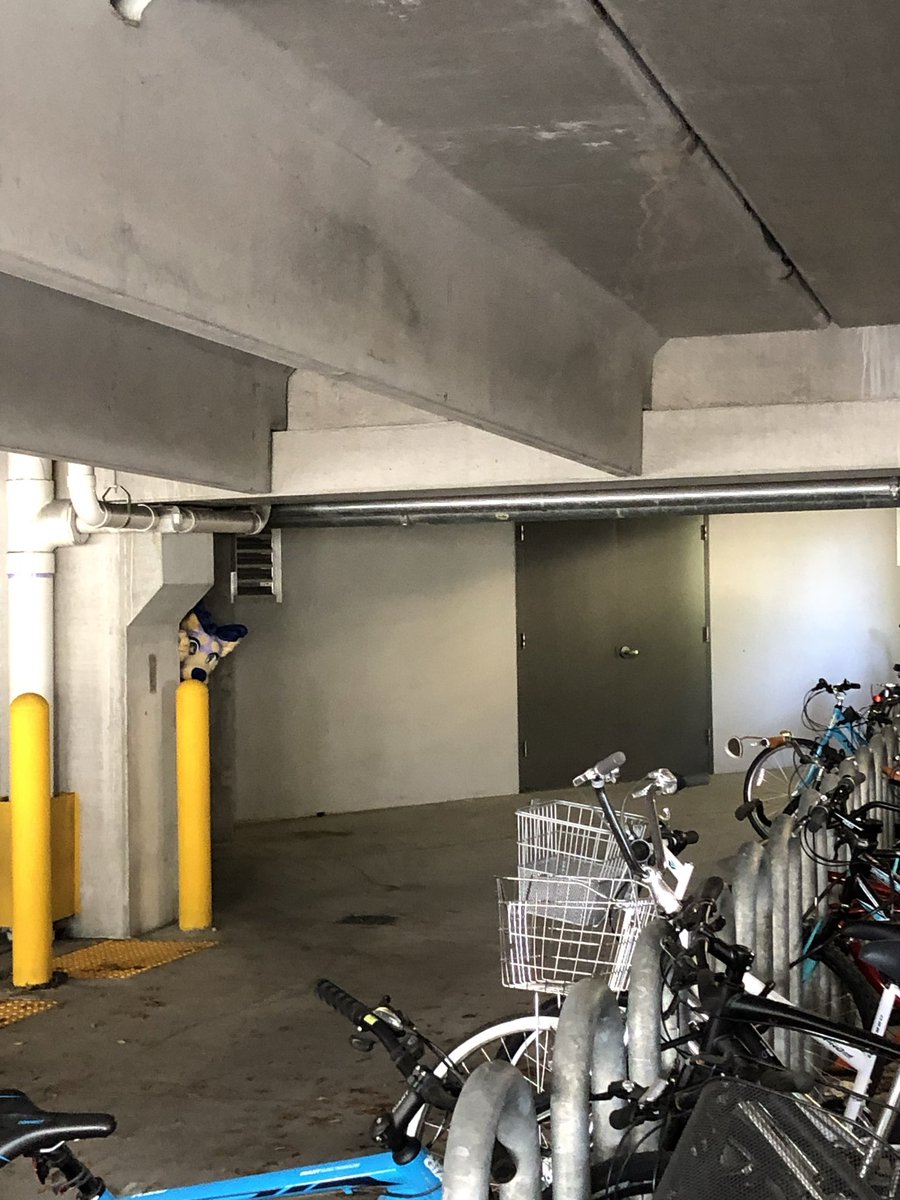 Celeste is animating! tweet media