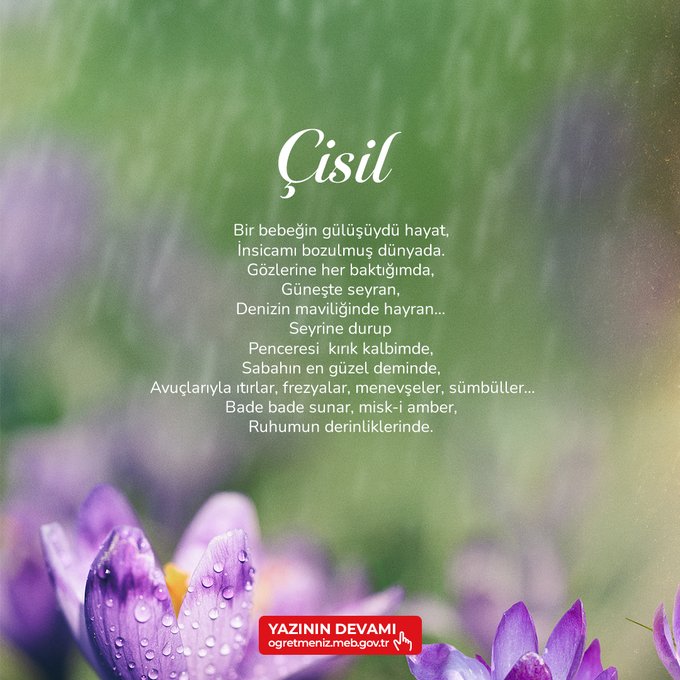 Green background with white text of the poem Cimil, including lines about a babys smile, beautiful morning, sea blue clarity, and souls in peace. Purple flowers at the bottom and ministry watermark YAZININ DEMI tcmebgovtr.