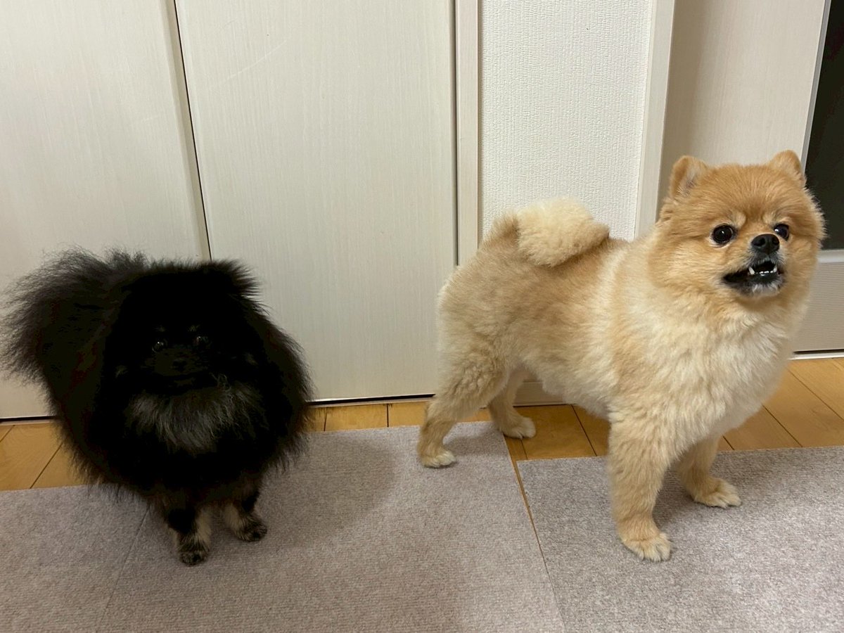 チャルメラ♡ チャルメラ (@green_arrowroot) / Posts / X