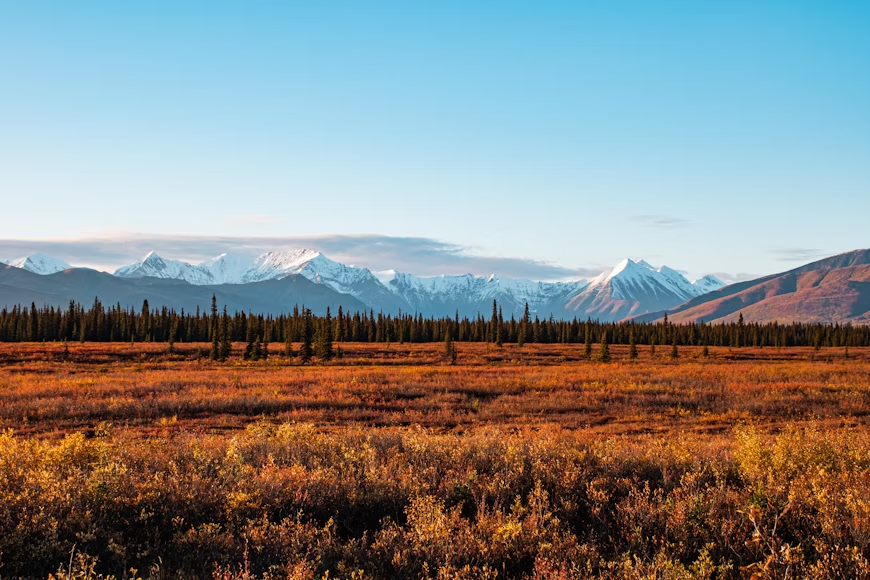 Top World Rank tweet media