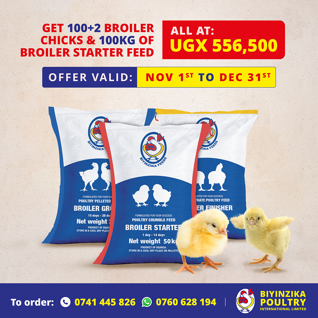 Your birds deserve the best start. 🐥🐔

This Nov &amp; Dec, get 100+2 broiler chicks + 100KG of Broiler Starter Feed at only UGX 556,500.

Offer valid Nov 1st — Dec 31st.
Let’s grow your flock the right way 🌾

To order, Call: 0741 445 826 or WhatsApp: 0760 628 194