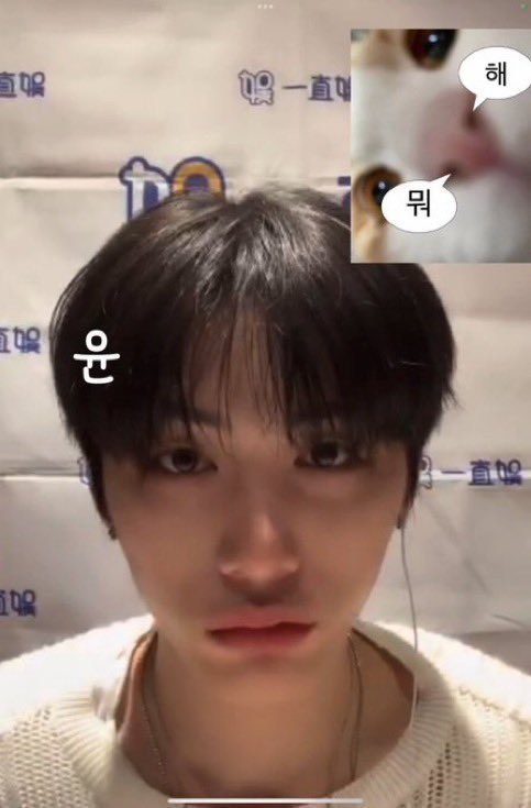taesanseize's tweet photo. taesan on online fansign is the best thing that ever happened like??? that’s my lil meow meow 😞😭🥺 https://t.co/EBgVi7tXdc