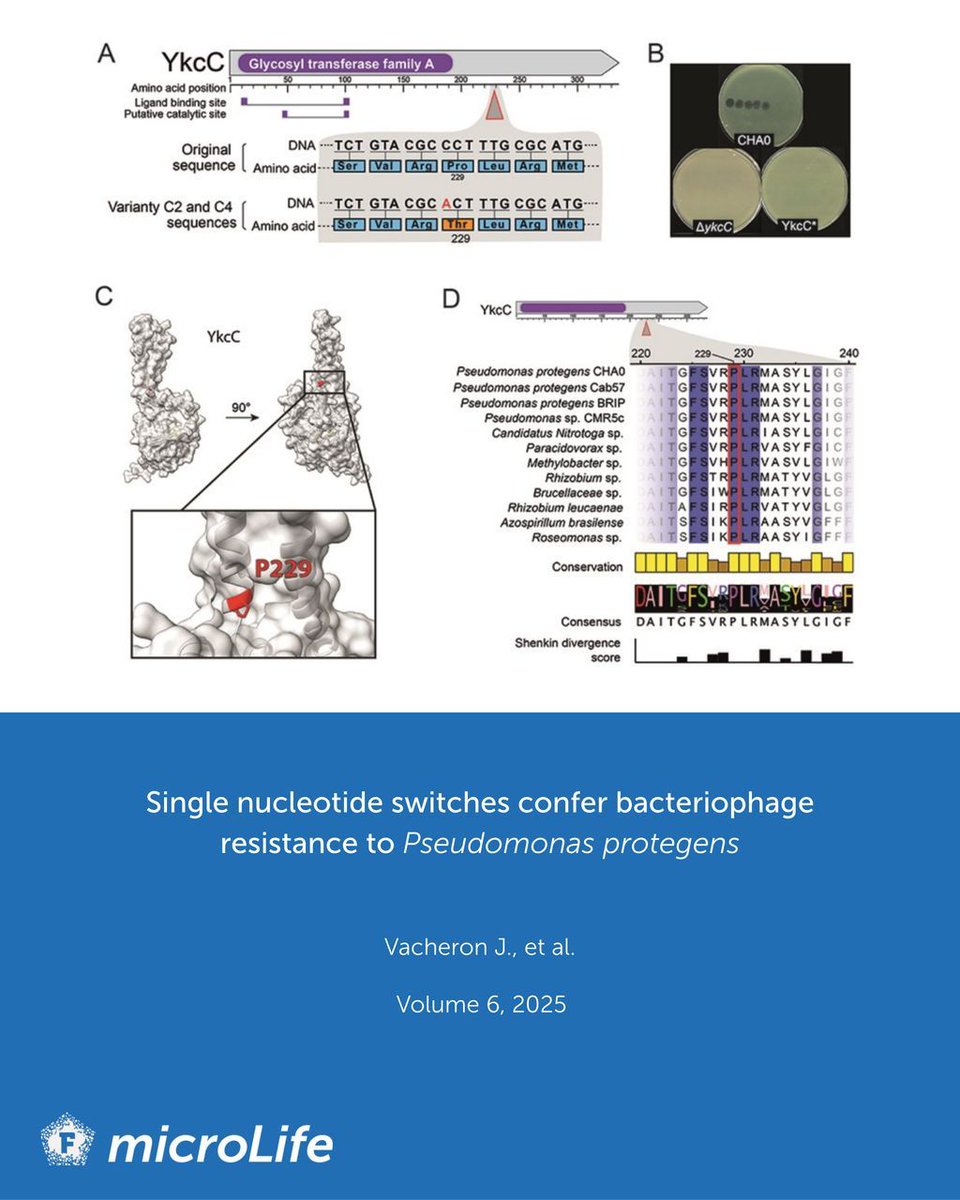 microLife tweet media