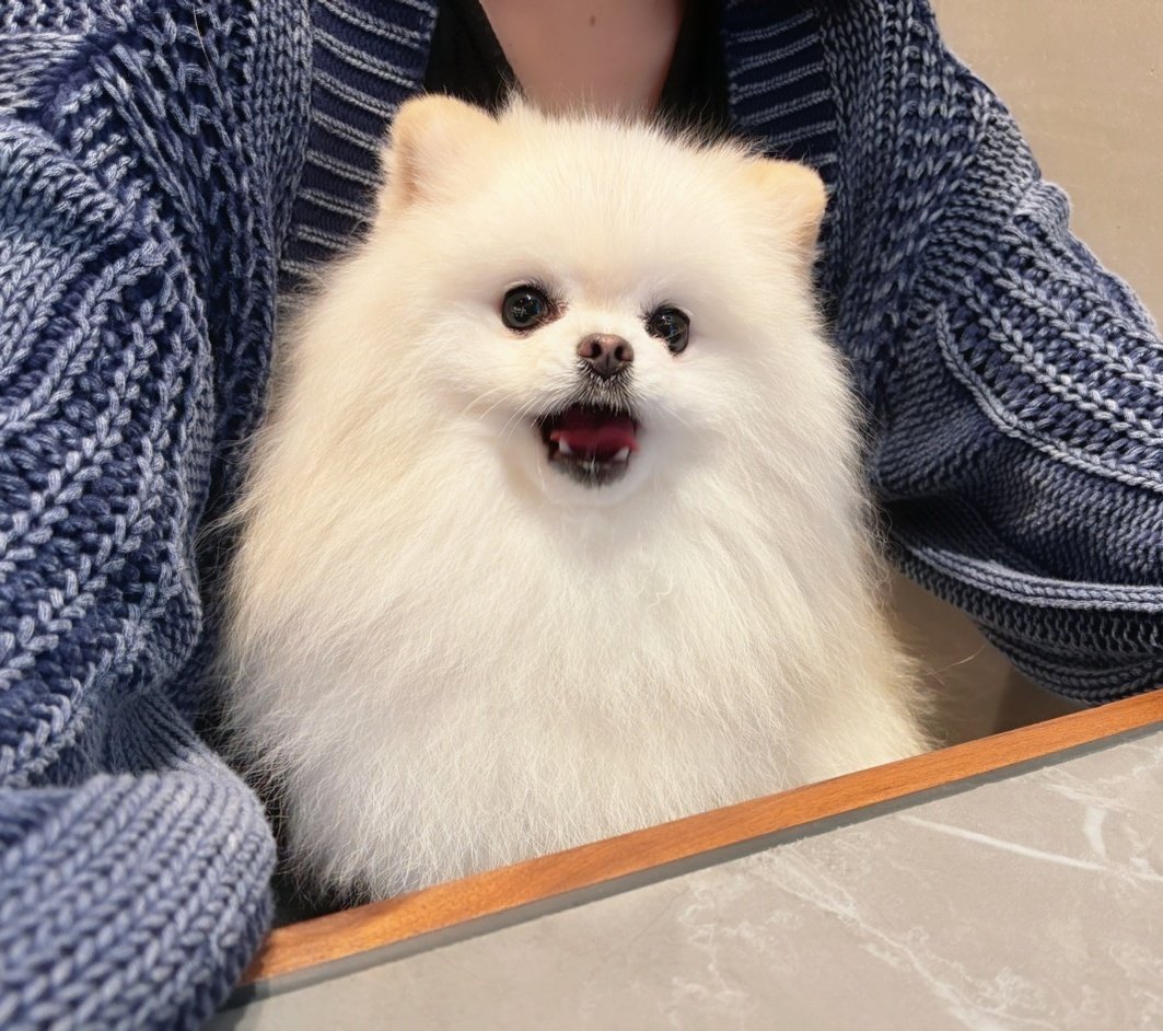 おこめ屋 (@chimaki0328) / Posts / X