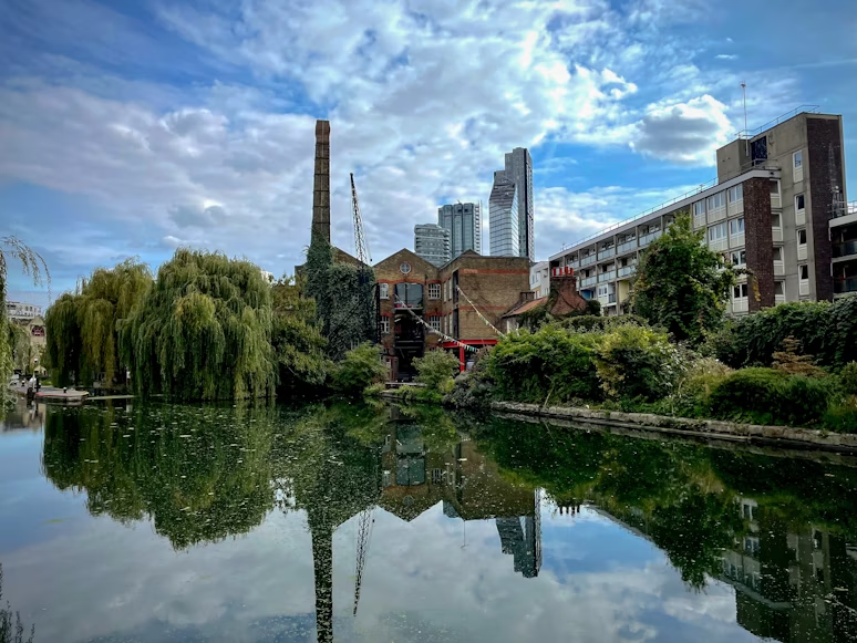 Top World Rank tweet media