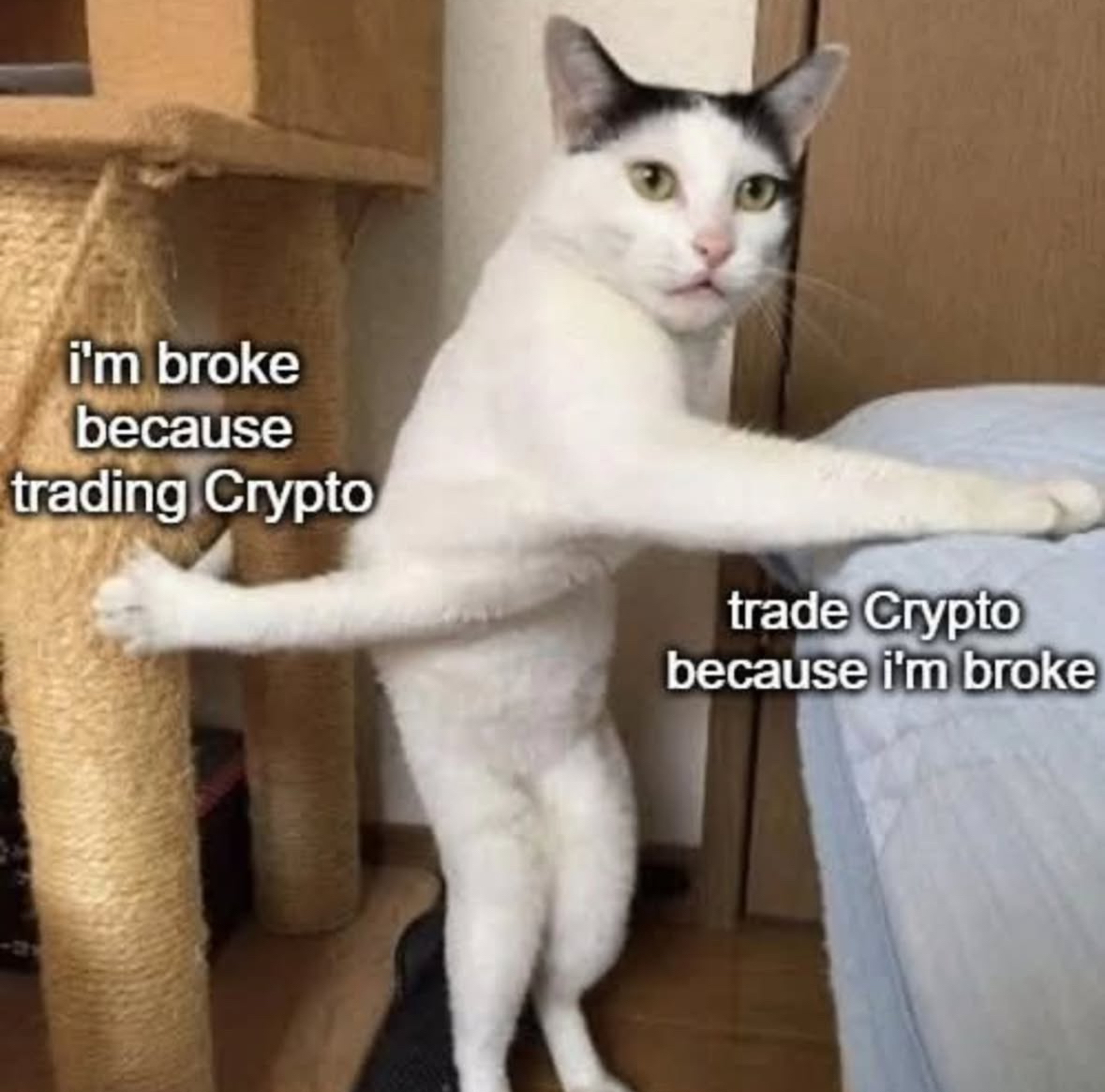 That moment when you realize… Crypto is both the problem and the solution.  😁 #BuyUcoin #CryptoLife #BitcoinIndia
