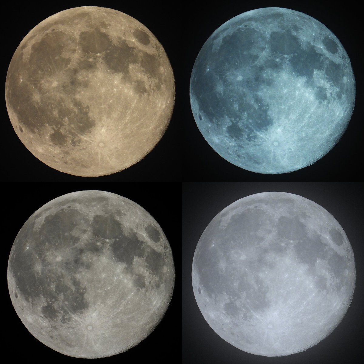 FunkyAppleTree's tweet image. BEAVER SUPERMOON
Dam clouds!
Still beautiful! 
🦫🌝 #FullMoon #BeaverMoon #Supermoon @StormHour @ThePhotoHour @metoffice @skyatnightmag