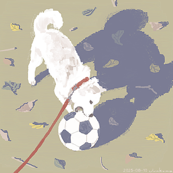 あむ (@nj819amu) / Posts / X