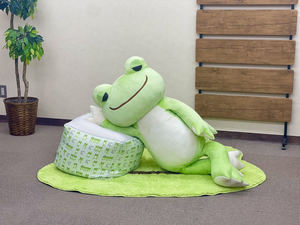 カエルのピクルス かえるのピクルス/pickles the frog (@picklesthefrog6) / Posts / X