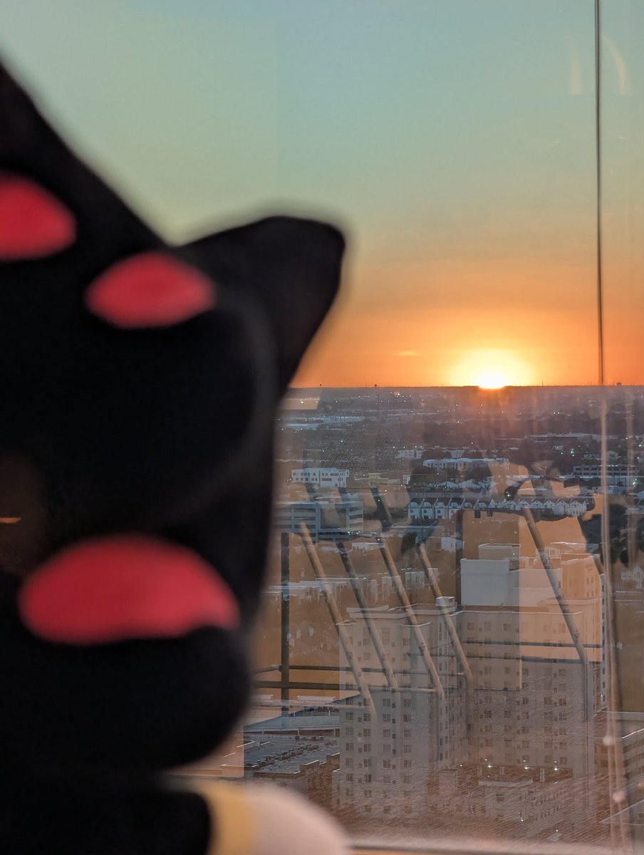 Sunsets and packing for Sonic Expo~ 🦔🔵💨

Day 69
(📍Houston, Texas 🇺🇸)
#sonictravels #shadowtravels #ソニかつ