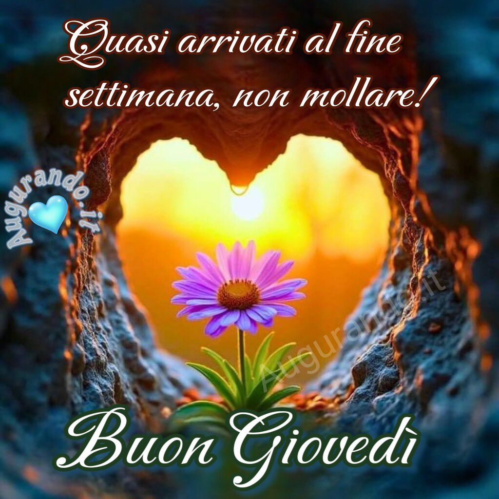 nicocifar63's tweet photo. Buongiorno a tutti 🙂 https://t.co/k96OG8NAH7