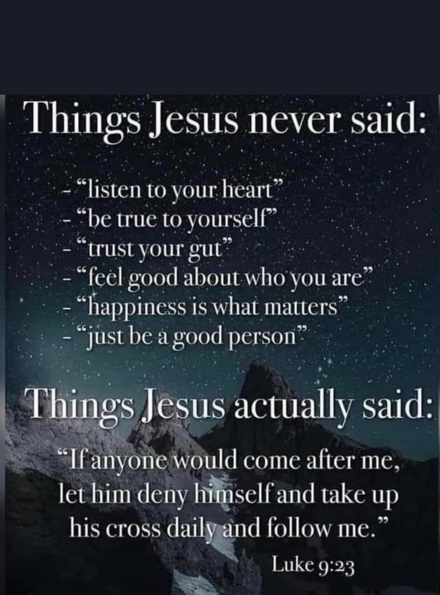 🥰🐄🐠🌱🦞🐞🐖🦋Jose Mertens🌱Hamer🐔🐌🐷🐝🌱 (@josemertens3) on Twitter photo 