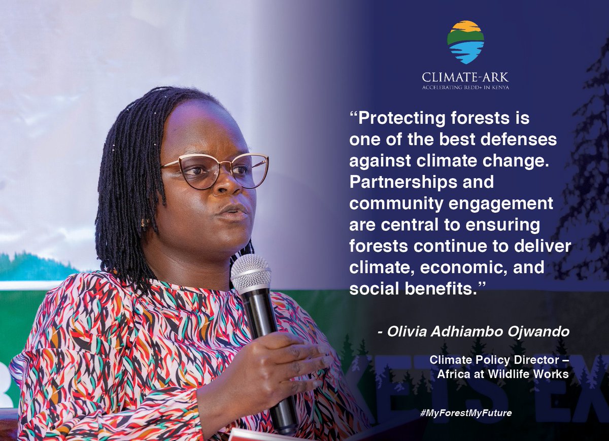 Protecting forests is one of the best defenses against climate change. Partnerships and community engagement are central to ensuring forests continue to deliver climate, economic, and social benefits.

#KenyaCarbonMarketsExpo2025 #ClimateARK   #REDD+ #MyForestMyFuture