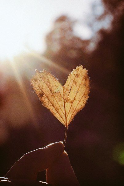 𓂃𓏲🍁₊˚⊹༉

Po prostu jesień: dużo piękna, trochę smutku... 

        ~Jerzy Broszkiewicz

Dzień dobry! 
Cudownego dnia dla wszystkich...

𝐸𝑠𝑡𝑎𝑠 𝑇𝑜𝑛𝑛𝑒 
youtu.be/3nmf8qG71qg?si…