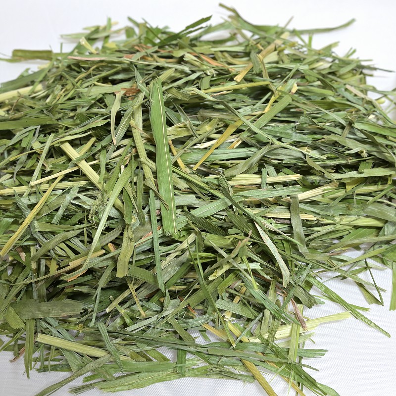 2025高原の朝採り牧草「3種のショートミックス」発売いたしました！
麦＆イタリアンライグラス＆オーツヘイのショート丈ミックスです。
1袋 70g入り 1210円
詳細・ご注文はこちら→luckyheart.jp/view/item/0000…