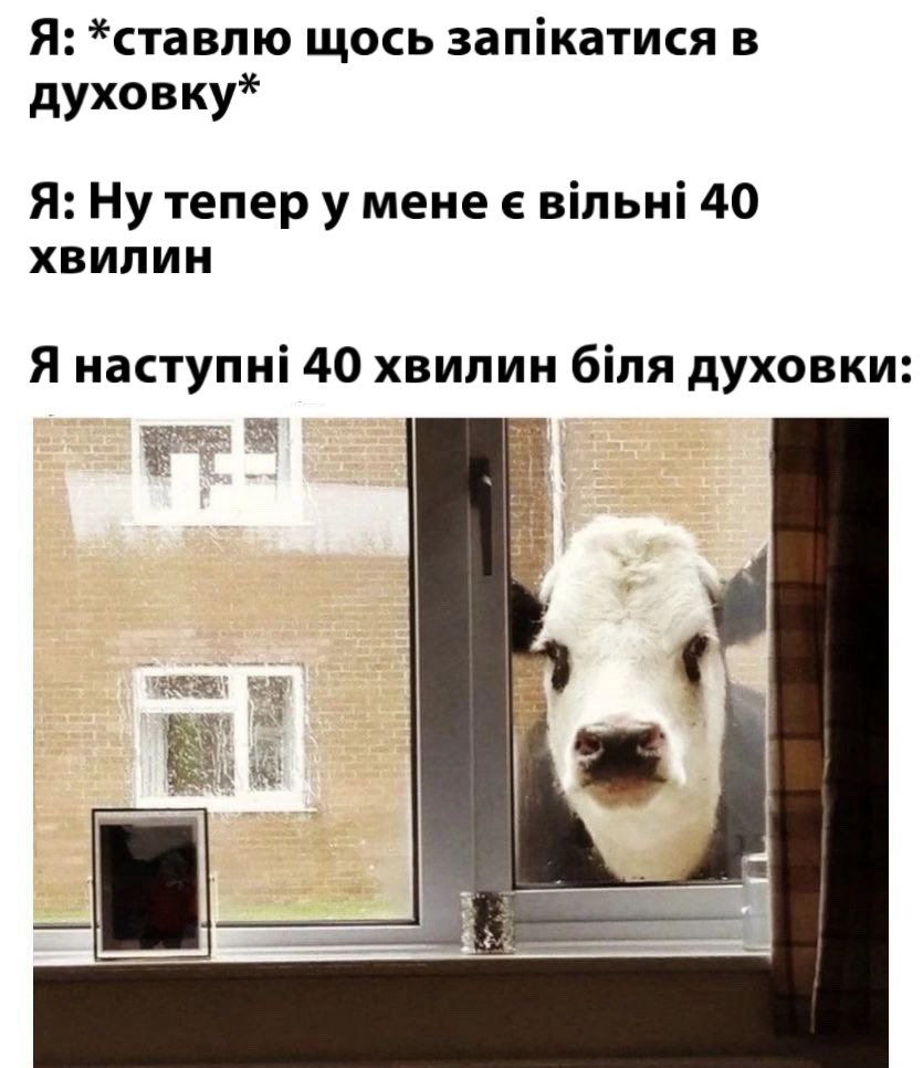 бро скинув мем tweet media