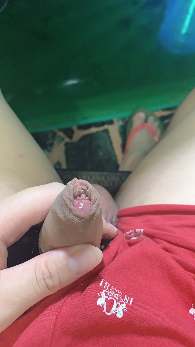 昂列思🐾 tweet media