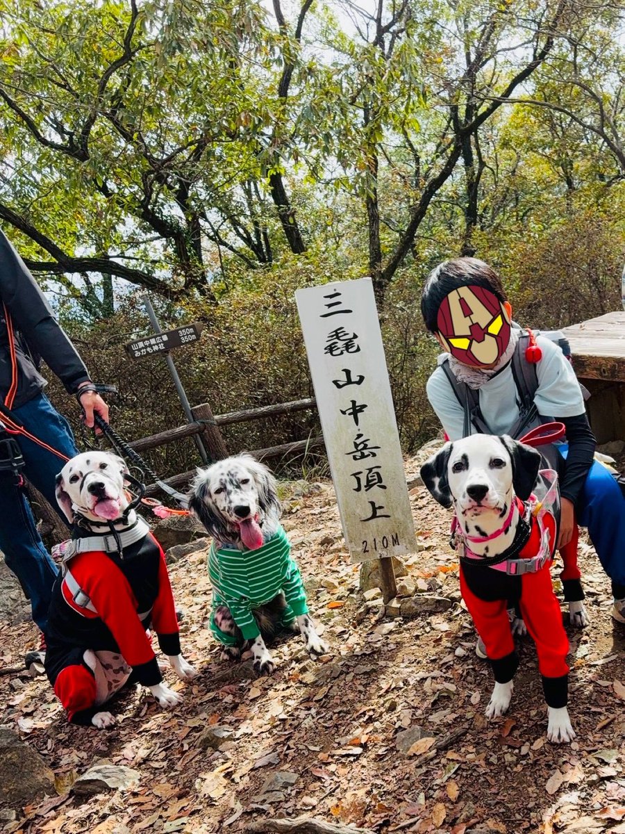 今日は大きいの3匹選抜でハイキング⛰️