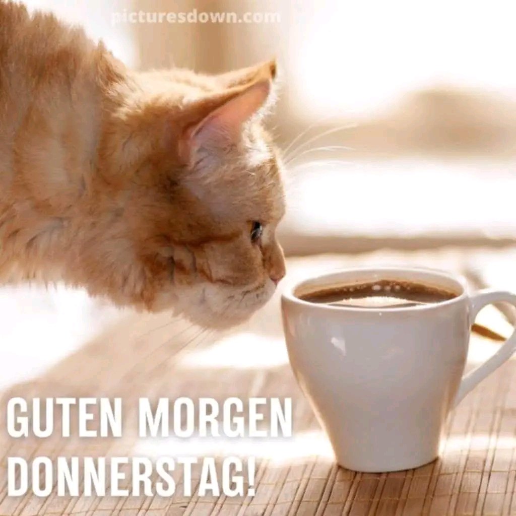 Schönen guten Morgen