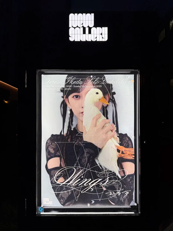 ニュース】乃木坂46・池田瑛紗 初個展『Wings:あひるの夢』が開催