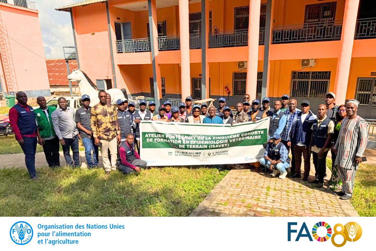 A l'<a href="/IssmvD/">ISSMV - DALABA</a> de #Dalaba, #FAO appuie la formation #Post_ISAVET pour la graduation de 2⃣5⃣ stagiaires.

Cette formation, cohorte 5, vise à renforcer le dispositif de surveillance des maladies animales y compris les zoonoses.

#OneHealth
#SantéAnimale
#BM