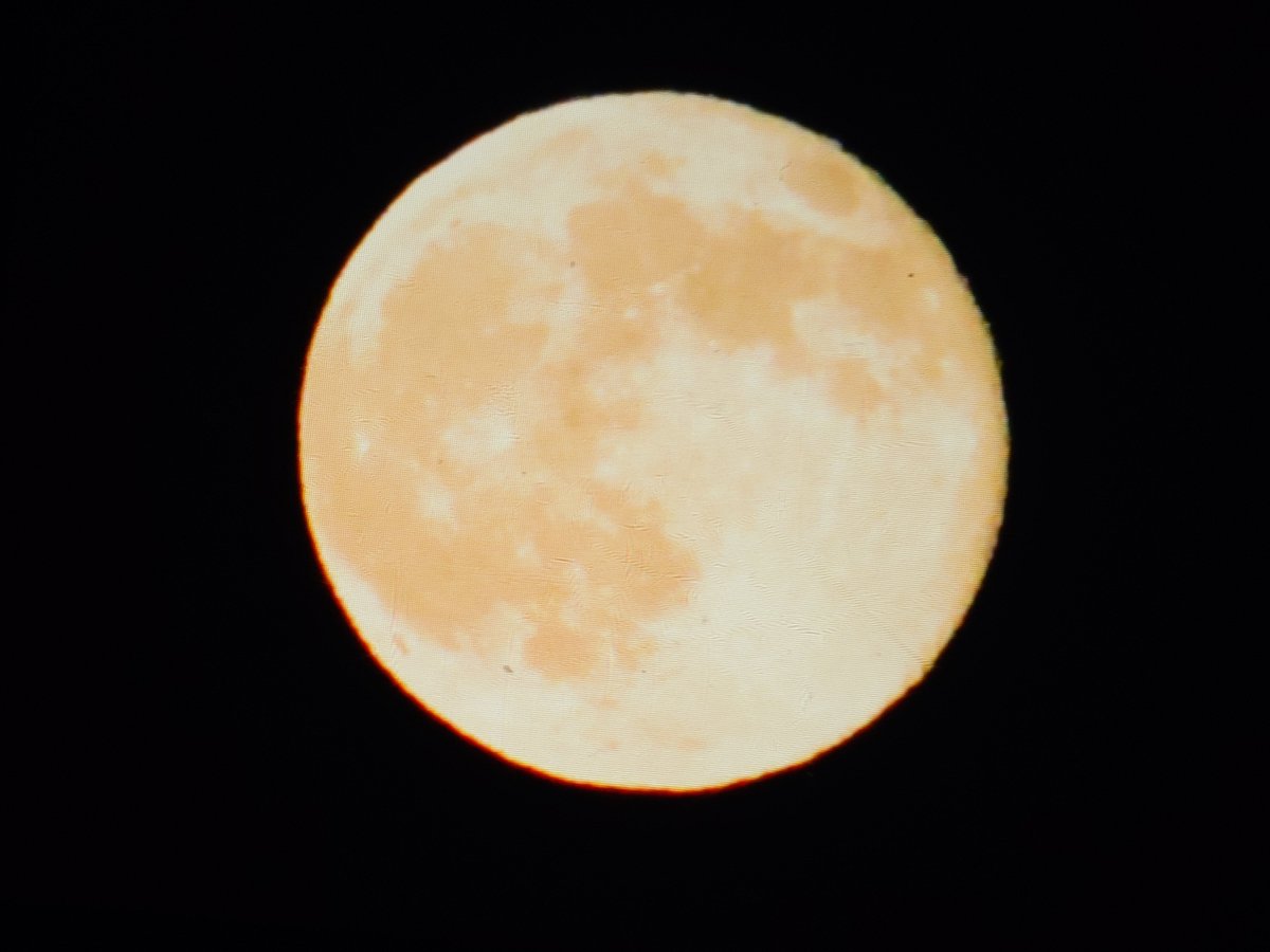 しんせー (@ureshinse) / Posts / X