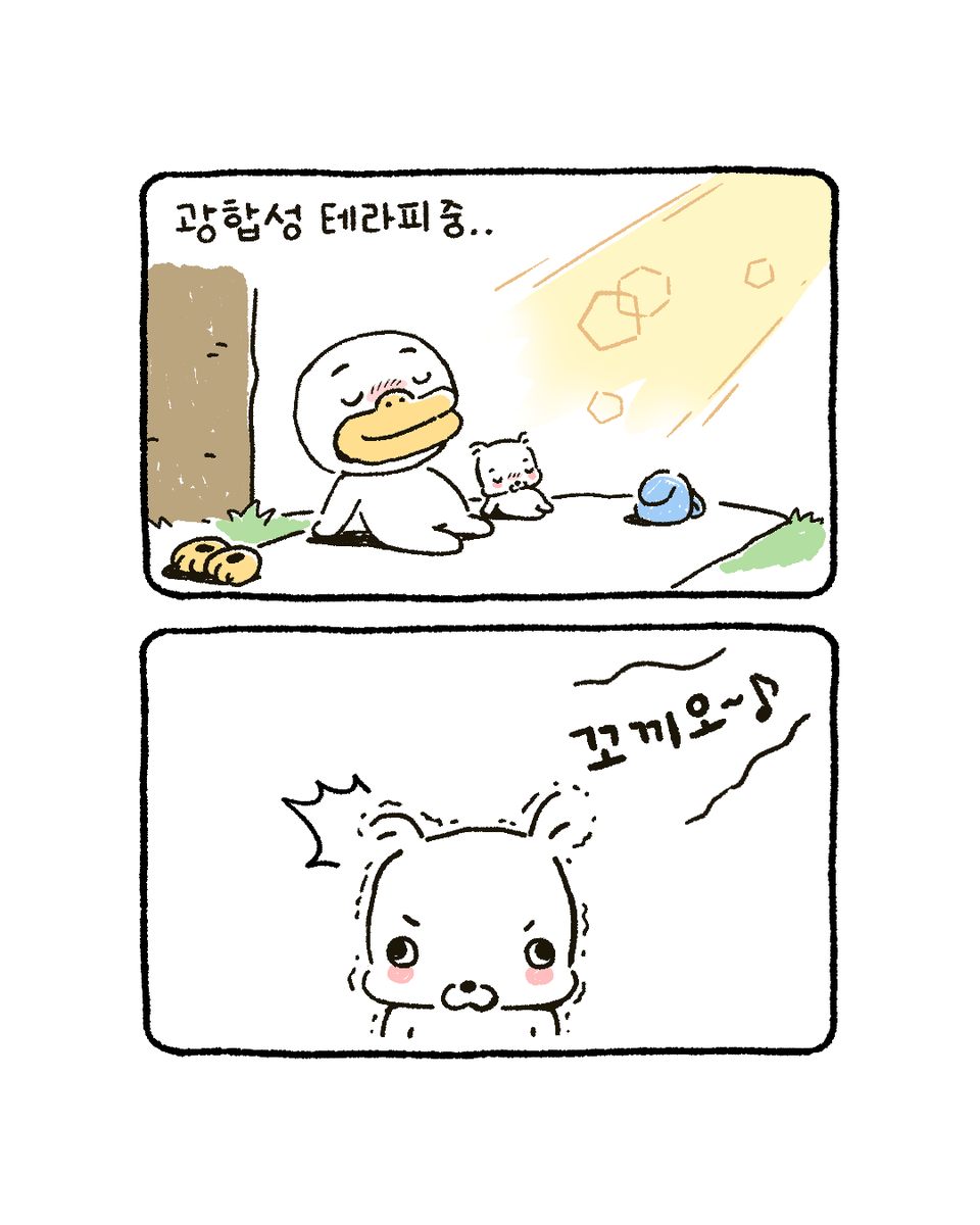 복심이 다이어리 tweet media