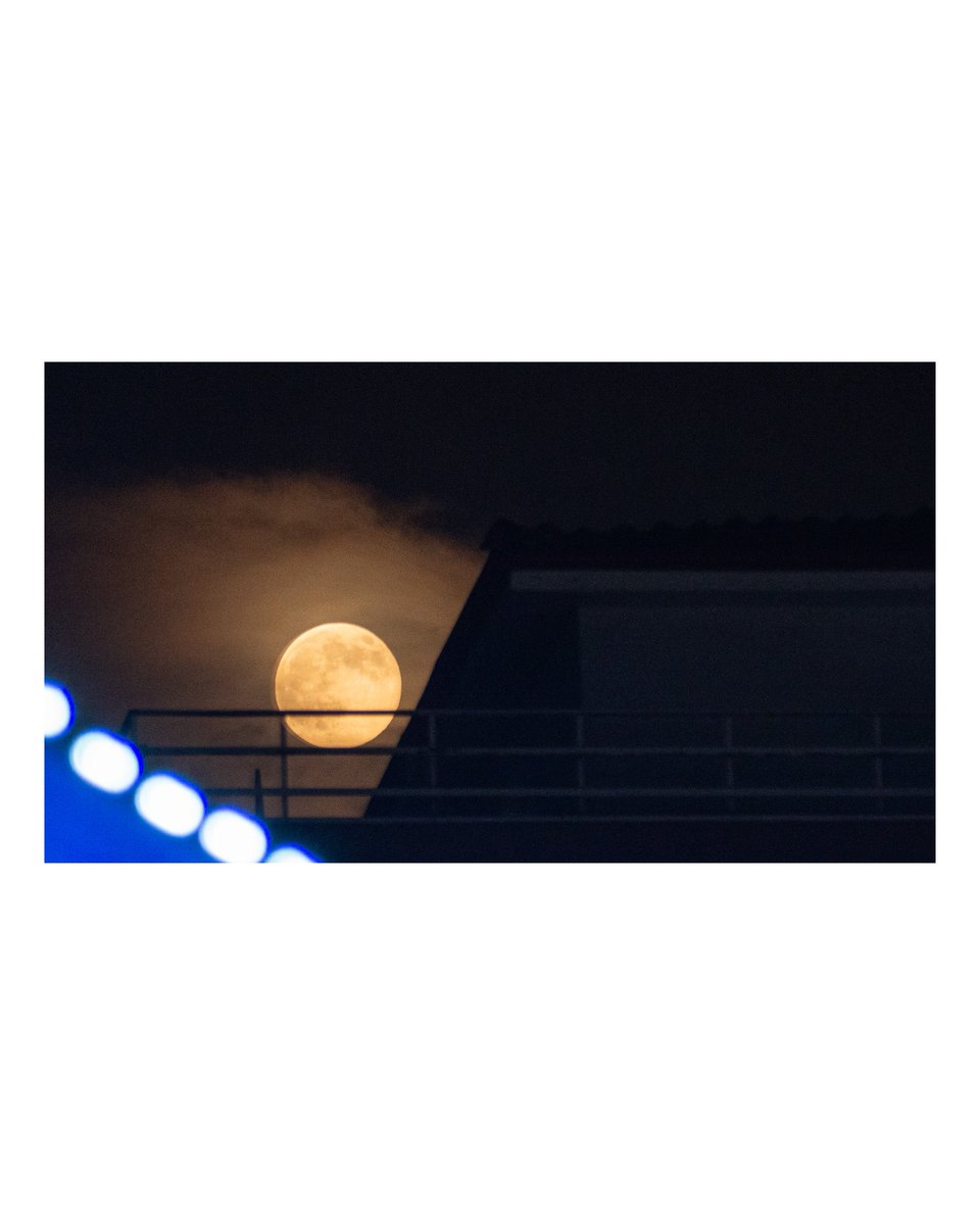 Enes Karabacak tweet media