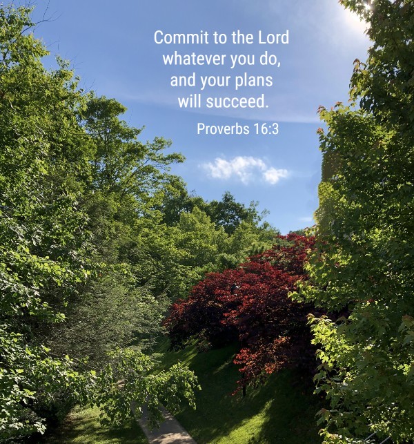 Thankful for God's guidance to do His will, and for His help and provision. What are you grateful for? JoniVance.com