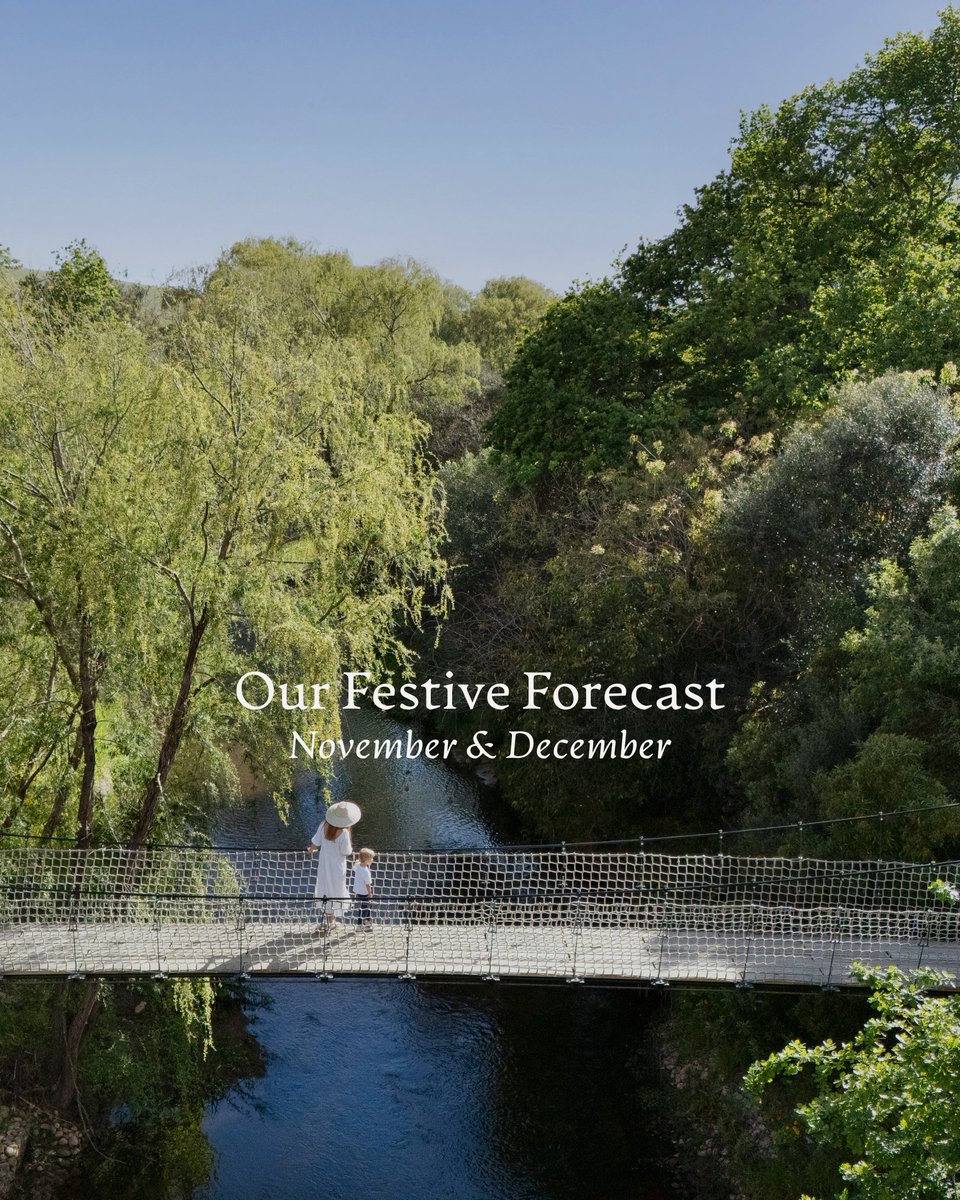 Your Festive Forecast ☀️

Here’s what’s waiting for you on the farm this festive season!

Read more here: spier.co.za/blog/make-our-…

#Spier #SpierWineFarm