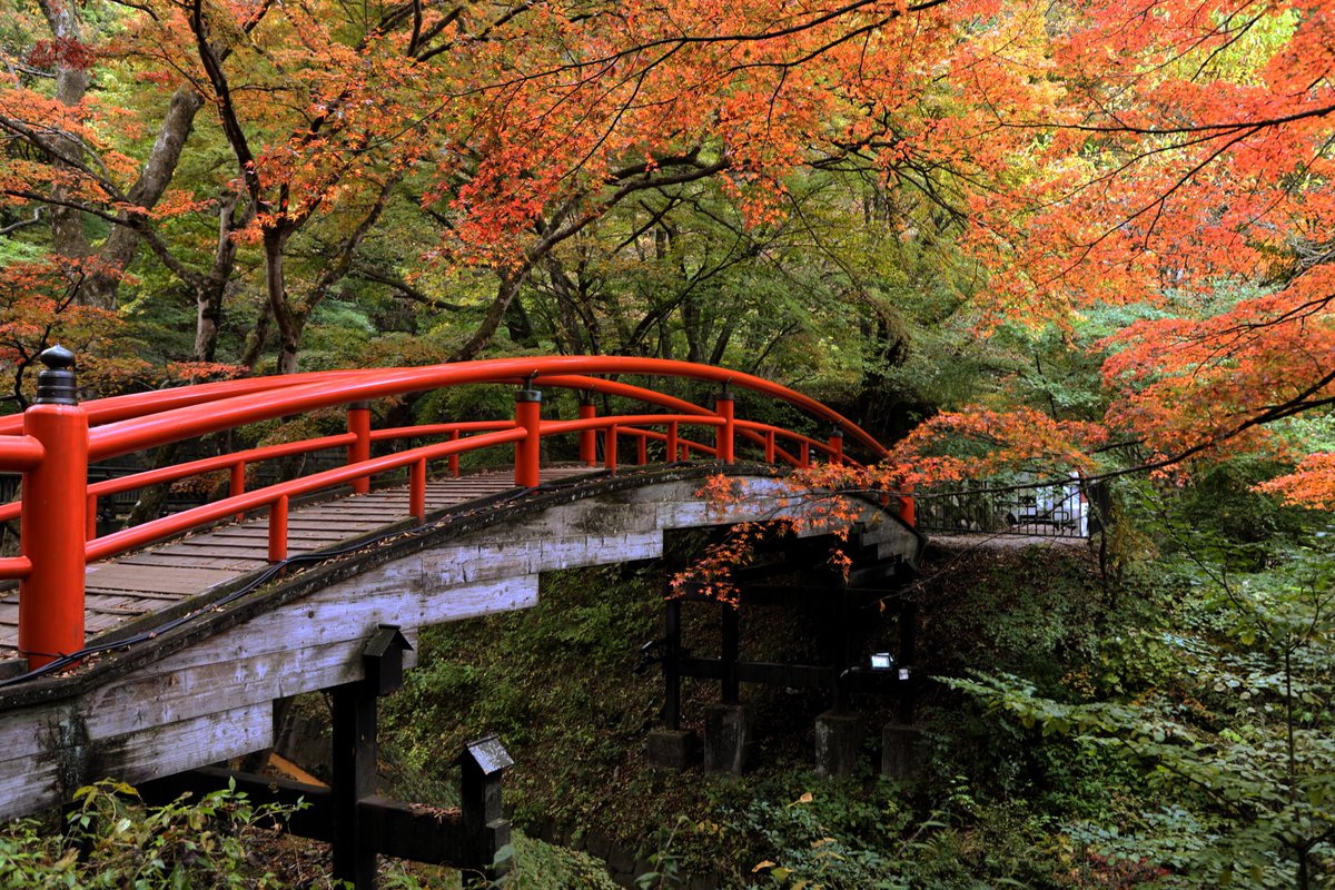 宮二代目🇯🇵 on X